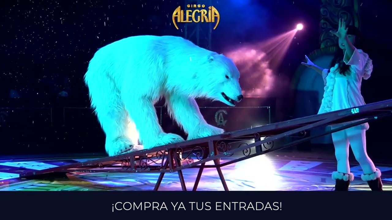 circo on ice madrid carpa circo alegría 11 nov