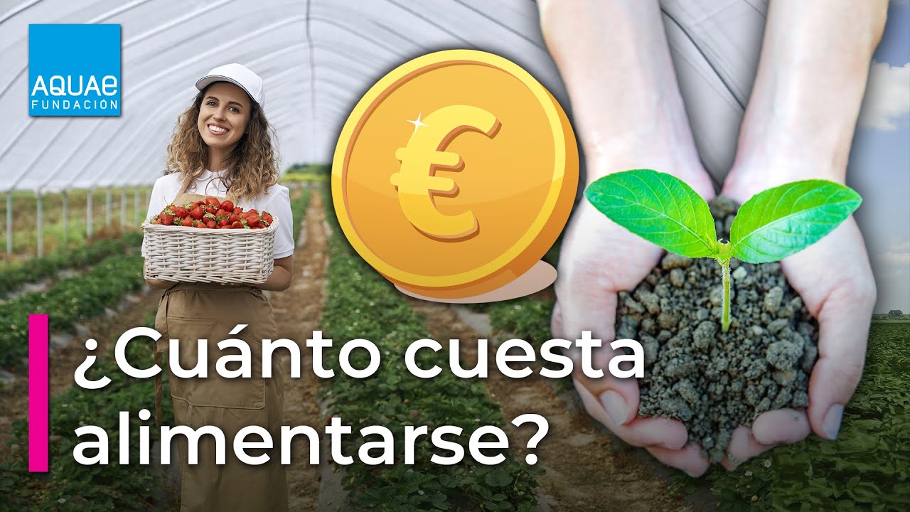 que-impacto-tiene-la-sostenibilidad-en-Coste-de-vida-en-Madrid - Madrid Noticias 24h qué impacto tiene la sostenibilidad en Coste de vida en Madrid