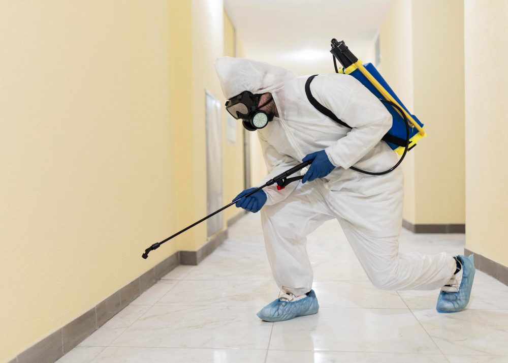 727687 - Pest Consulting - Madrid Noticias 24h